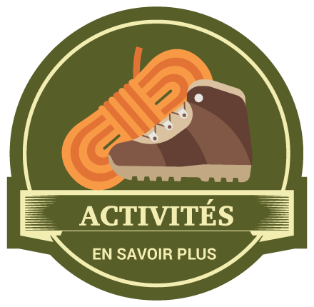awacamenjmino lactivities icon