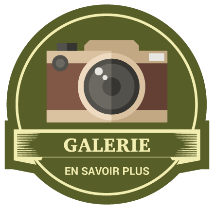 awacamenjmino gallery icon